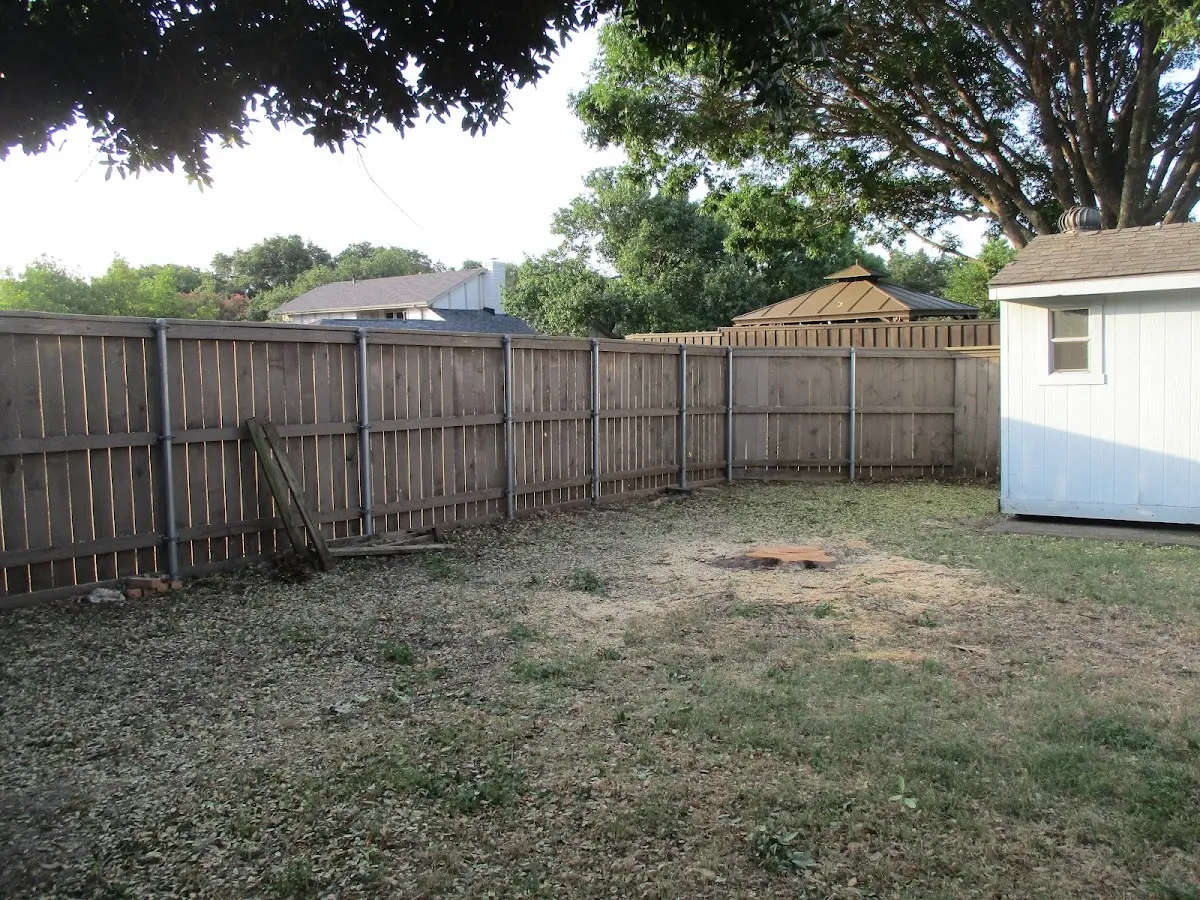 Cleared yard after professional tree removal in Aspers